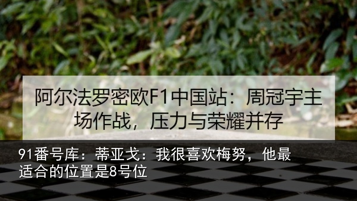 91番号库：蒂亚戈：我很喜欢梅努，他最适合的位置是8号位